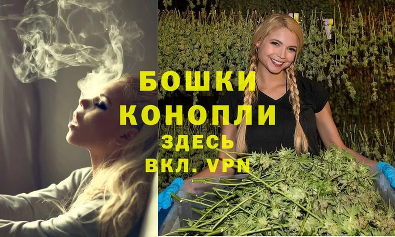 Конопля SATIVA & INDICA  Вытегра 